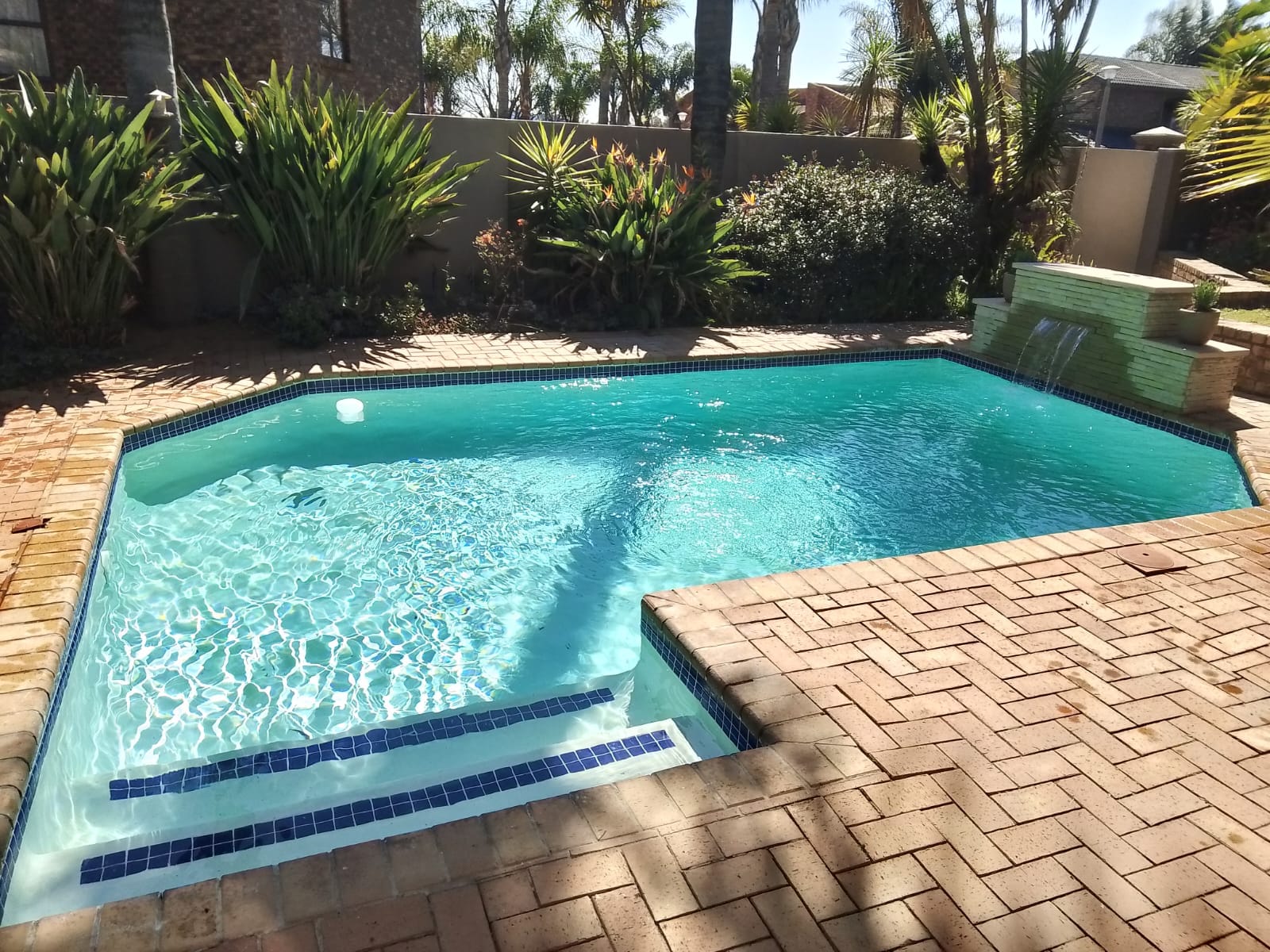 Renovated marbelite pool with brick paving and tropical landscaping